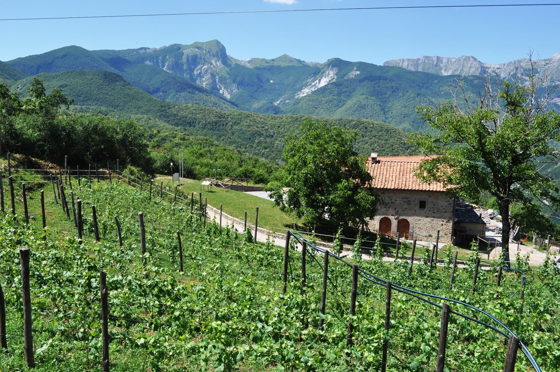 Alpi Apuane, al via la partecipazione sul piano del parco