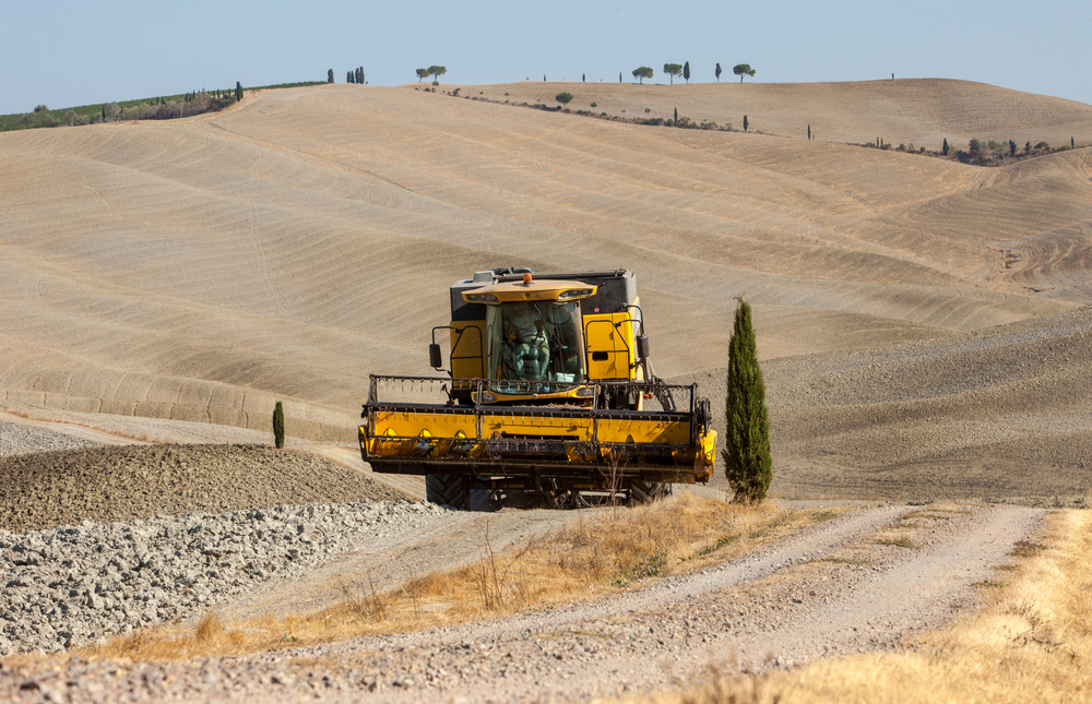 Coronavirus, ripartire da agricoltura tradizionale