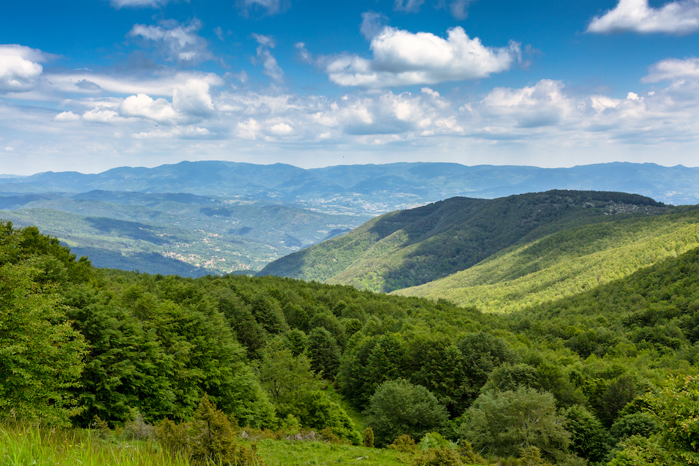 Da Capraia a Pratomagno, se è il paesaggio a parlare