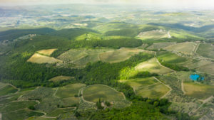 Castellina in Chianti