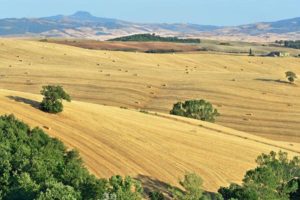 Val d'Orcia