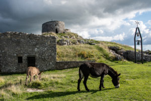 Monte Labbro, Grosseto