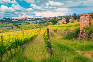 Panzano in Chianti