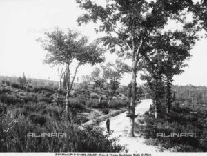 Spedaluzzo in Chianti (1890), ph. Alinari