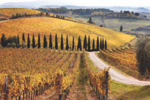 Bosco di Sant'Agnese