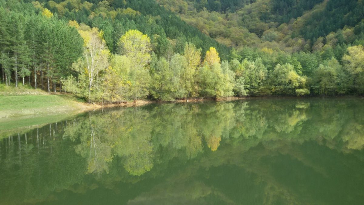 "Vi racconto cos'è il paesaggio di Toscana..."