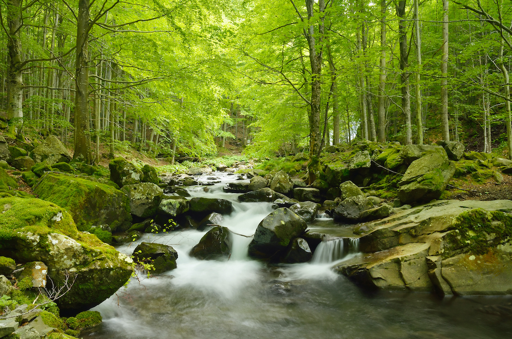 Toscana, mezzo milione per il patrimonio naturalistico