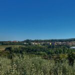 Monia Moccolini - L'edificio per l'imbottigliamento dell'acqua delle Terme di Chianciano